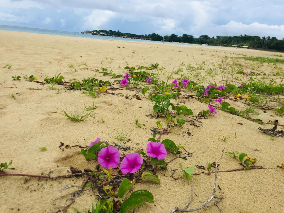فندق Pic-Nic Beach Corn Island المظهر الخارجي الصورة